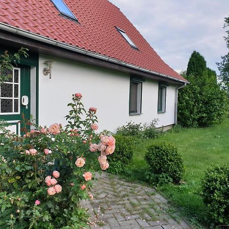 Oeko-Ferienhaus Rappin ภายนอก รูปภาพ