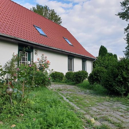 Oeko-Ferienhaus Rappin ภายนอก รูปภาพ