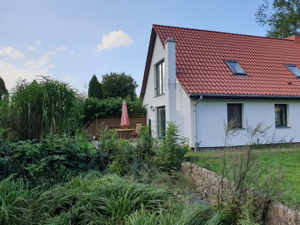Oeko-Ferienhaus Rappin ภายนอก รูปภาพ