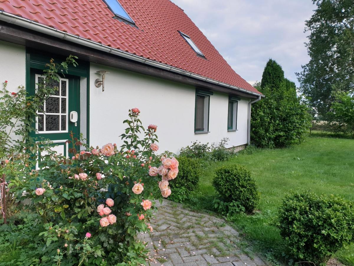 Oeko-Ferienhaus Rappin ภายนอก รูปภาพ