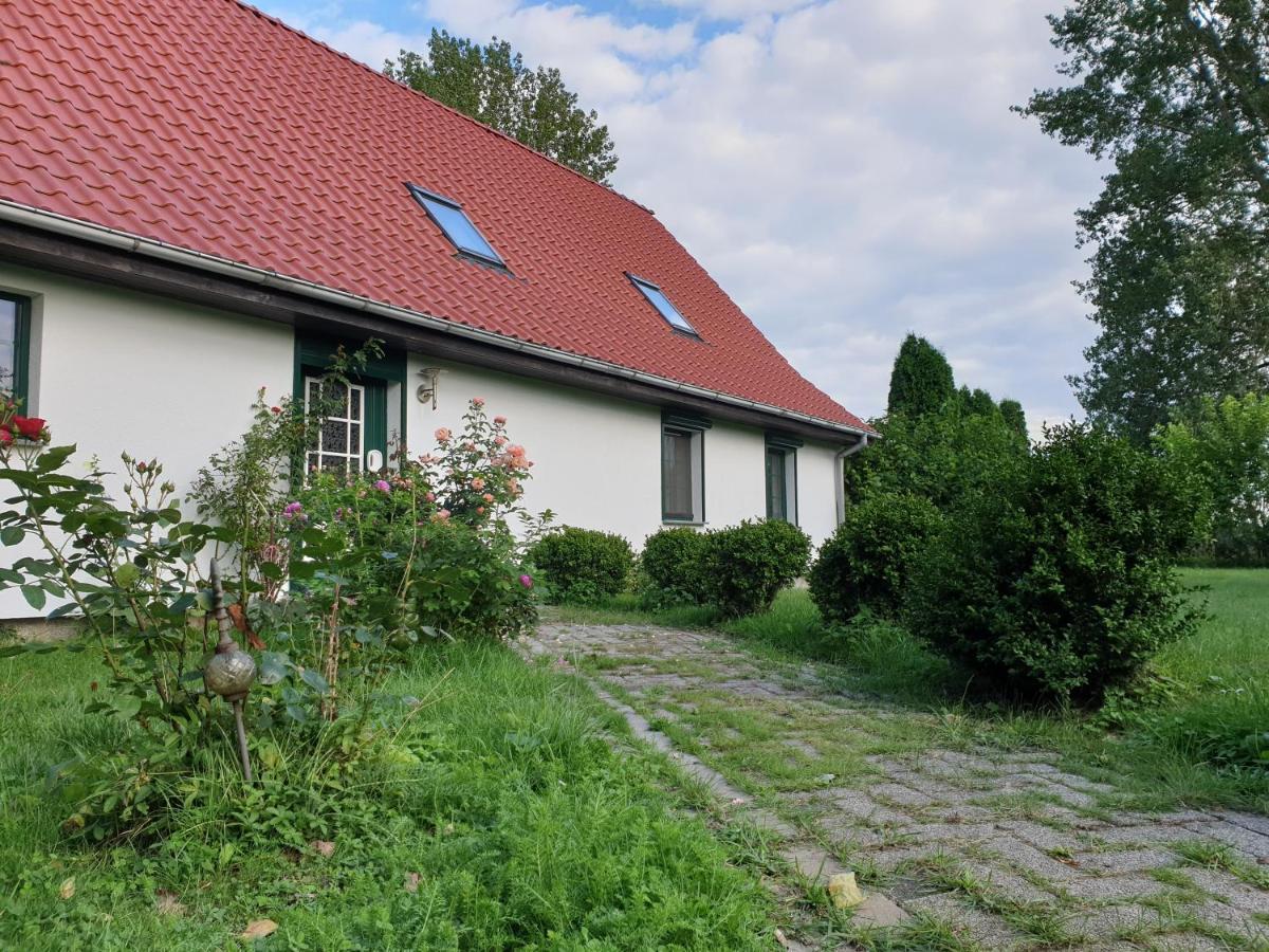 Oeko-Ferienhaus Rappin ภายนอก รูปภาพ